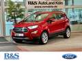 Ford EcoSport Titanium+Kamera+Navi+B&O+Key-Free Rot - thumbnail 1