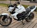 Kawasaki Z 1000 Z 1000 Biały - thumbnail 7