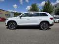 Skoda Kodiaq Drive 125 4x4 Blanc - thumbnail 4