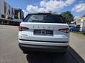 Skoda Kodiaq Drive 125 4x4 Blanc - thumbnail 6