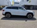 Skoda Kodiaq Drive 125 4x4 Blanc - thumbnail 8