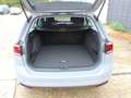 Volkswagen Passat Variant Business 2.0 TDI SCR Grigio - thumbnail 14