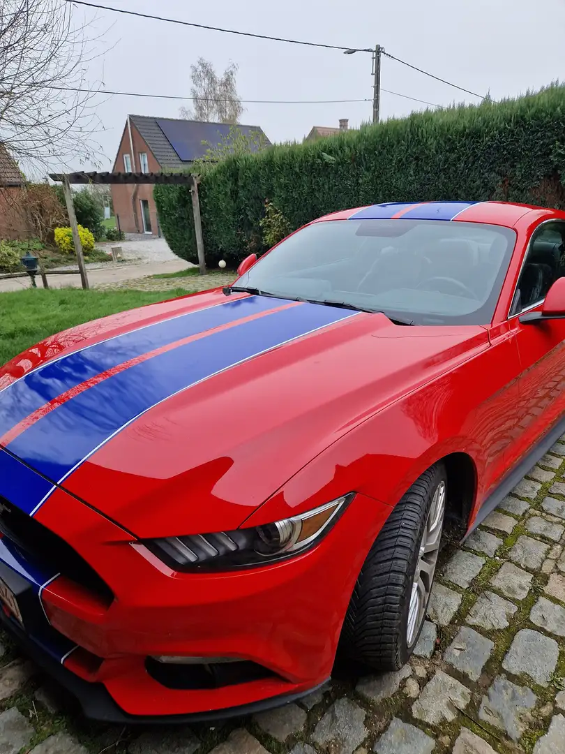 Ford Mustang Mustang 2.3 EcoBoost Rouge - 1