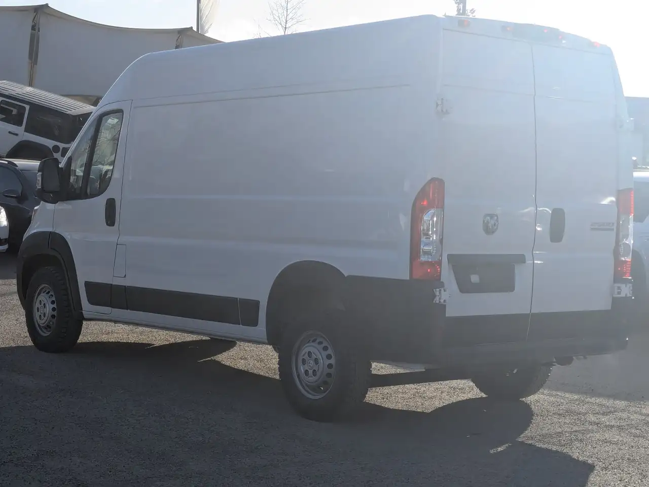 RAM Promaster снимка RAM Promaster