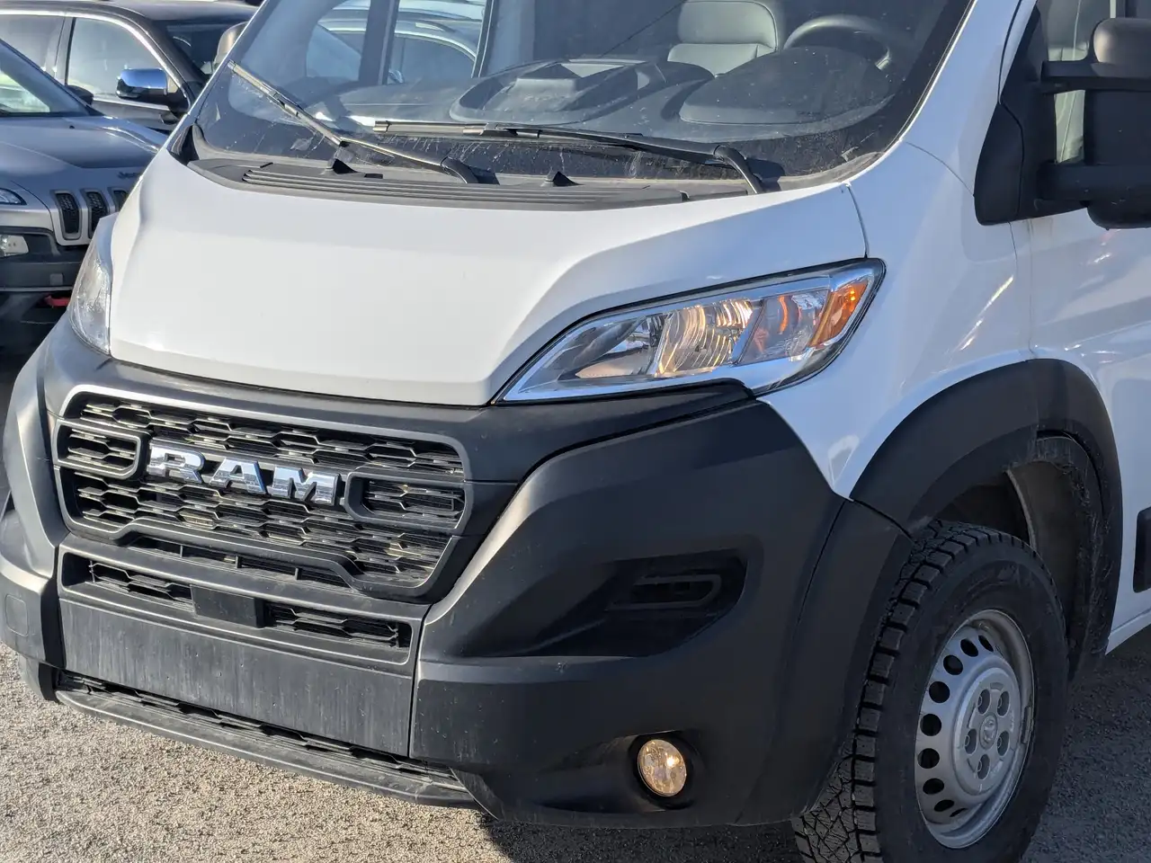 RAM Promaster снимка RAM Promaster