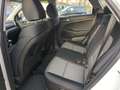 Hyundai TUCSON 1.6 GDI Trend SHZ+LKHZ+PDC+RFK Weiß - thumbnail 10
