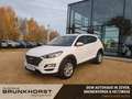 Hyundai TUCSON 1.6 GDI Trend SHZ+LKHZ+PDC+RFK Weiß - thumbnail 1