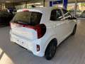 Kia Picanto 1.0 Vision (JA) Wit - thumbnail 4