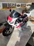 Yamaha TZR 250 Rouge - thumbnail 7