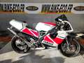 Yamaha TZR 250 Rouge - thumbnail 2