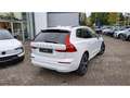 Volvo XC60 B4 Momentum Pro Weiß - thumbnail 2
