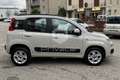 Fiat Panda Panda 0.9 TwinAir Turbo Natural Power Lounge Beige - thumbnail 4