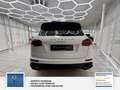 Porsche Cayenne S Diesel Panorama. Scheckheft bei Porsche . 2 Hand Wit - thumbnail 10