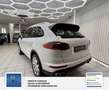 Porsche Cayenne S Diesel Panorama. Scheckheft bei Porsche . 2 Hand Wit - thumbnail 9
