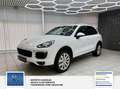 Porsche Cayenne S Diesel Panorama. Scheckheft bei Porsche . 2 Hand Wit - thumbnail 4