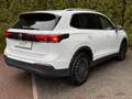 Volkswagen Tiguan 1.5 eTSI DSG Life LED+NAV+SHZ+KAM+ACC+DAB Blanco - thumbnail 7