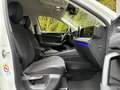 Volkswagen Tiguan 1.5 eTSI DSG Life LED+NAV+SHZ+KAM+ACC+DAB Blanco - thumbnail 10