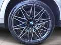 BMW X6 M Competition-B&W Surround-AHK-SOFTCLOSE Gris - thumbnail 6
