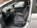 Ford Ka/Ka+ 1.2 70 CV Start&Stop Bianco - thumbnail 9