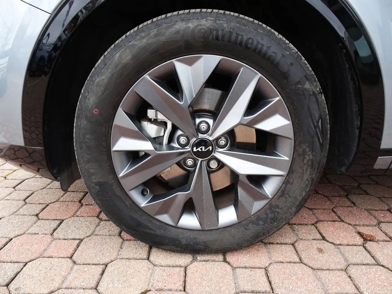 Kia Sportage V 2022 1.6 tgdi hev GT-line Sunroof Pa 6