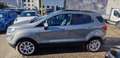 Ford EcoSport 1.0 ecoboost Titanium s&s 125cv Grigio - thumbnail 8