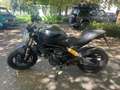Ducati Monster 797 Negro - thumbnail 5