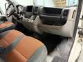 Fiat Ducato Ducato 35 2.2 MJT PC-TN Furgone Bianco - thumbnail 12