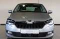 Skoda Fabia Clever Best of,LED,Kamera,Panodach,ACC,DAB Silber - thumbnail 2