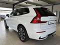 Volvo XC60 B4 (D) Plus Dark AWD ACC AHK Kamera Leder Blanco - thumbnail 10