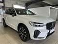 Volvo XC60 B4 (D) Plus Dark AWD ACC AHK Kamera Leder Blanco - thumbnail 5