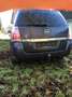 Opel Zafira Zafira Elegance 2,0 16V DTI Aut. Elegance - thumbnail 5