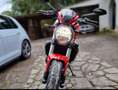 Ducati Monster 821 Plus+ / Depotenziata Rosso - thumbnail 7