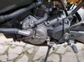 Ducati Monster 821 Plus+ / Depotenziata Rosso - thumbnail 9