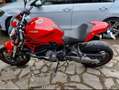 Ducati Monster 821 Plus+ / Depotenziata Rosso - thumbnail 10