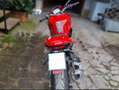 Ducati Monster 821 Plus+ / Depotenziata Rosso - thumbnail 13