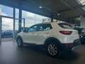 Kia Stonic Stonic 1.0 T - Garantie constructeur 04/2030 Blanc - thumbnail 5
