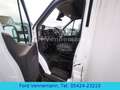 Ford Transit Koffer 350 L3  Junge-Aufbau,AHK Wit - thumbnail 10