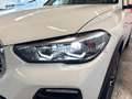 BMW X5 xdrive25d auto NETTO 29500 PROBLEMI TURBO Bianco - thumbnail 14