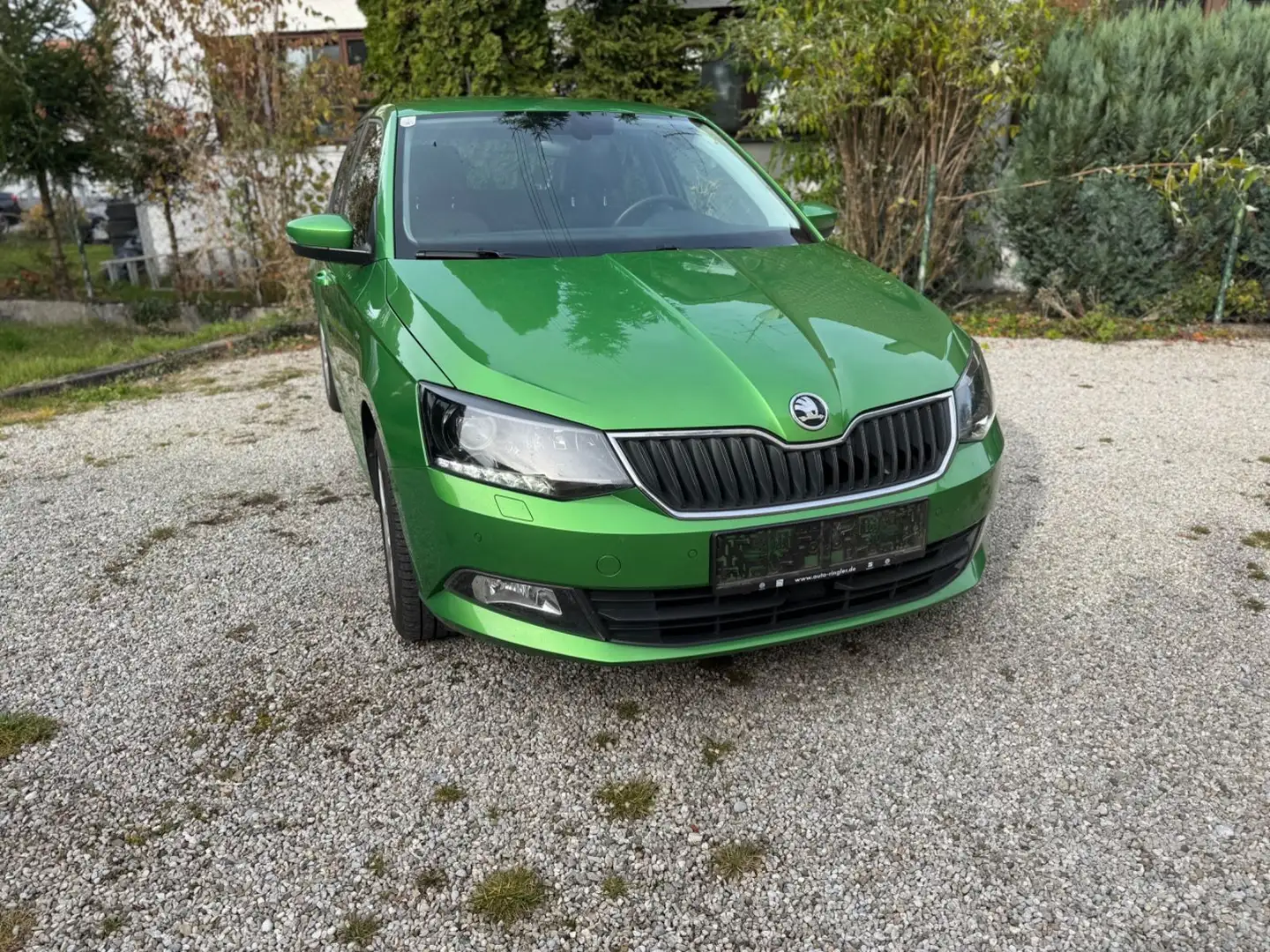 Skoda Fabia Ambition DSG Drive Edition Grün - 1