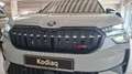 Skoda Kodiaq RS 2.0TSI 265PS AHZV/WINTER/FAHR.ASSIST+ Grau - thumbnail 2