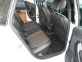 Volkswagen Polo 1.4 TDI 90 CV 5p. Original Stupenda! Bianco - thumbnail 10
