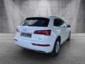 Audi Q5 quattro S-line/MatrixLED/AHK/HeadUp/VirutalCP Weiß - thumbnail 7