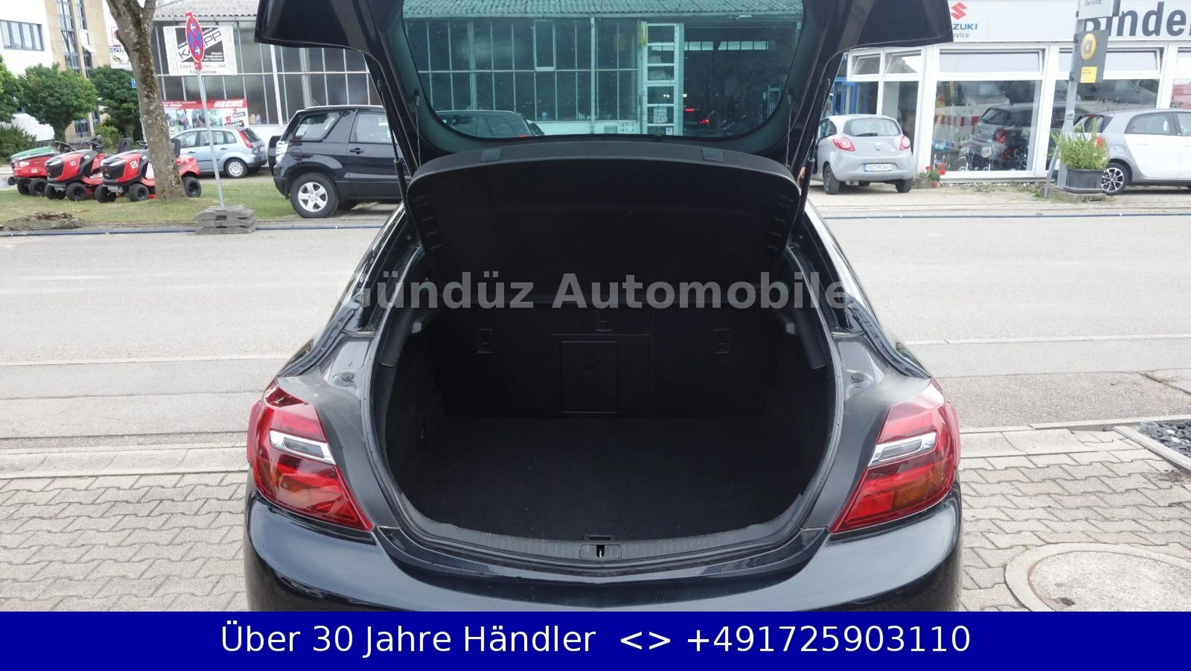 Opel Insignia A 2.0 DTCI OPC Innovation*DISTRONIC*LE — photo 9
