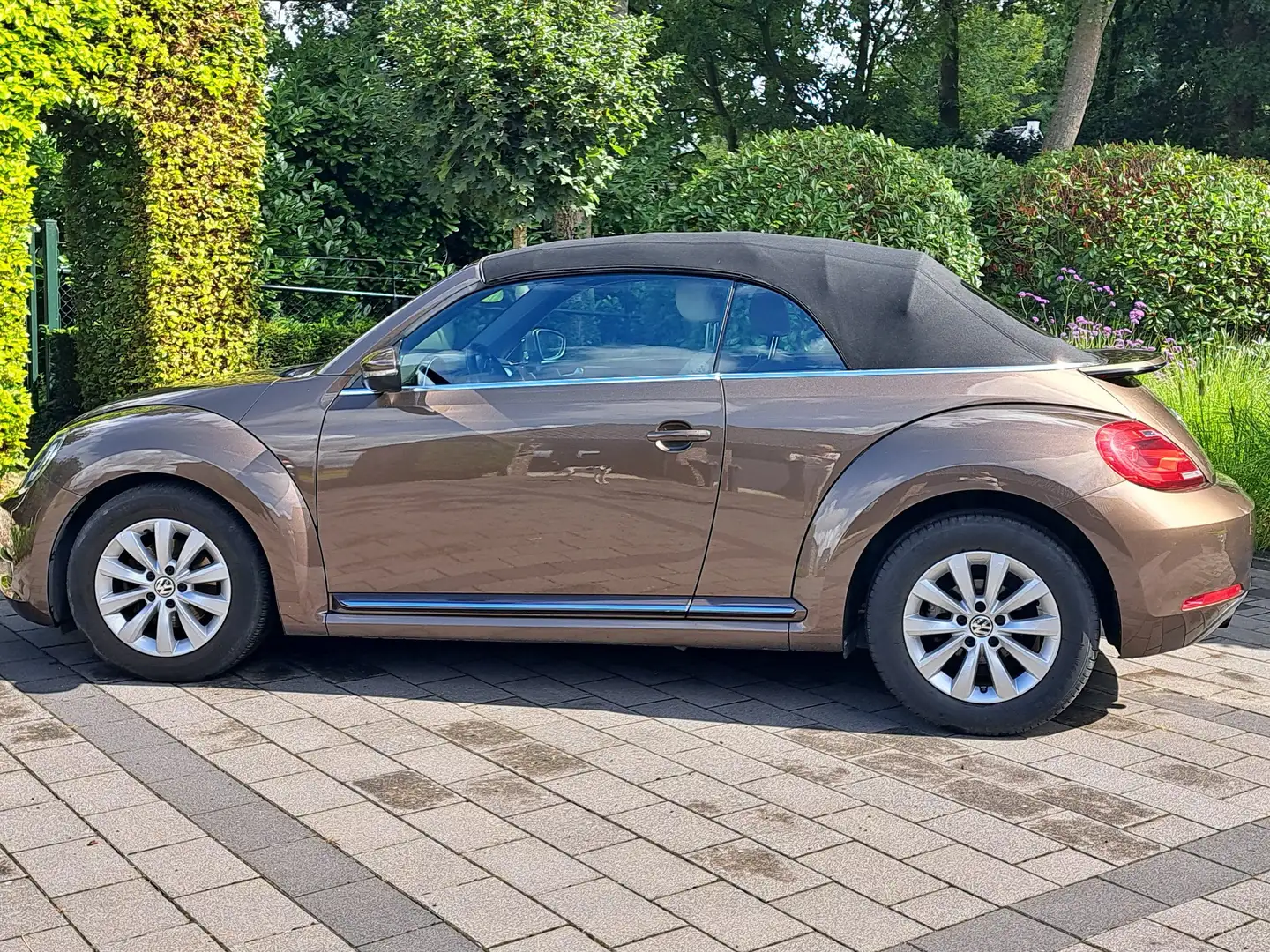 Volkswagen Beetle Beetle 1.2 TSI Design Kahverengi - 1