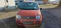 Fiat Panda 1.2 8V Emotion Rot - thumbnail 2