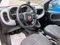Fiat Panda 1,2 70 City Cross Weiß - thumbnail 5