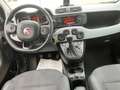 Fiat Panda 1,2 70 City Cross Weiß - thumbnail 9