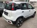 Fiat Panda 1,2 70 City Cross Weiß - thumbnail 3