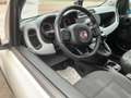 Fiat Panda 1,2 70 City Cross Weiß - thumbnail 7