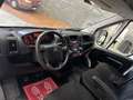 Citroen jumper 2,2 Hdi 7- Blanc - thumbnail 13